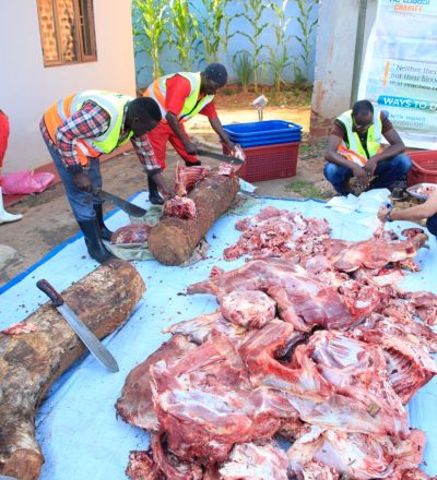 qurban - alwaasi charity