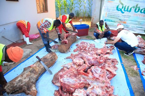 qurban - alwaasi charity