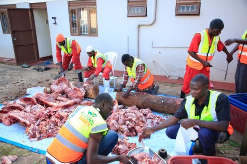 qurban - alwaasi charity