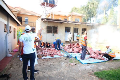 qurban - alwaasi charity